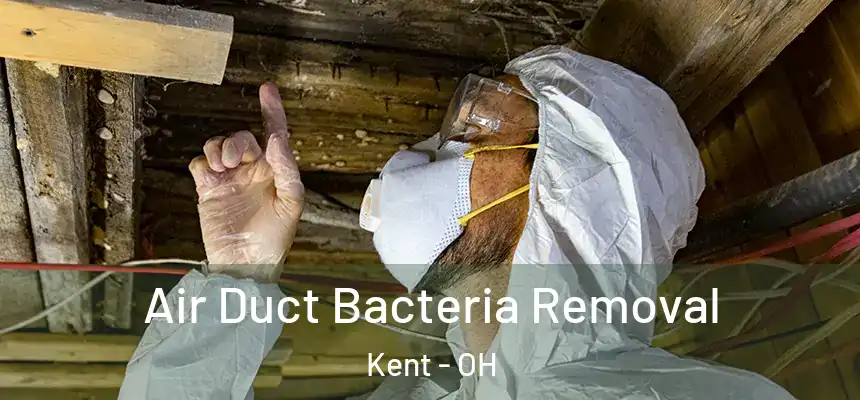 Air Duct Bacteria Removal Kent - OH