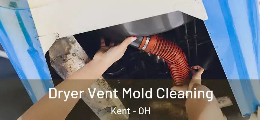  Dryer Vent Mold Cleaning Kent - OH