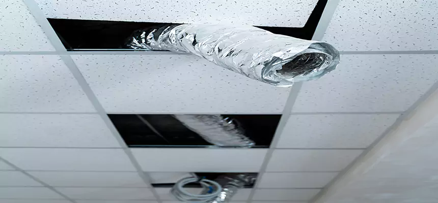 Our Air Duct Pet Hair Removal Services in Kent, OH