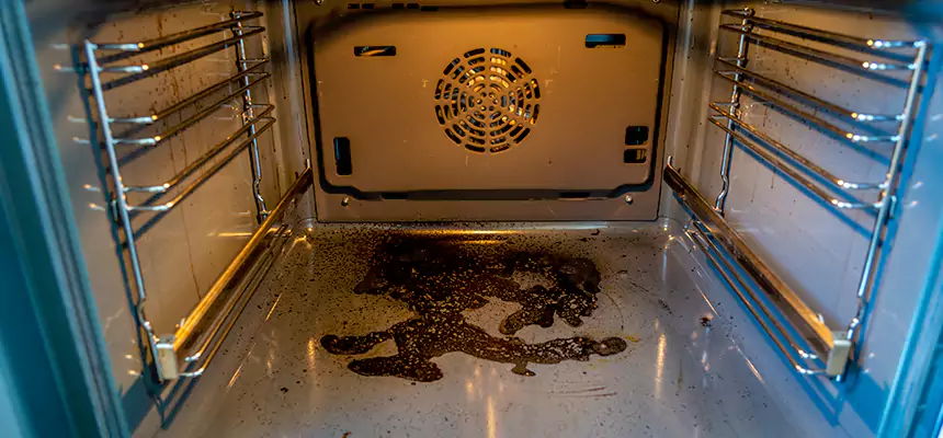 Our Dryer Vent Mold Cleaning Services in Kent, OH