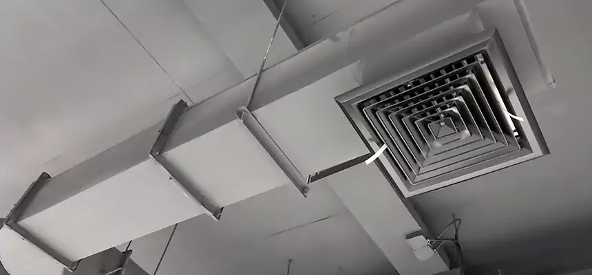 Our Pest Removal From Ducts Services in Kent, OH