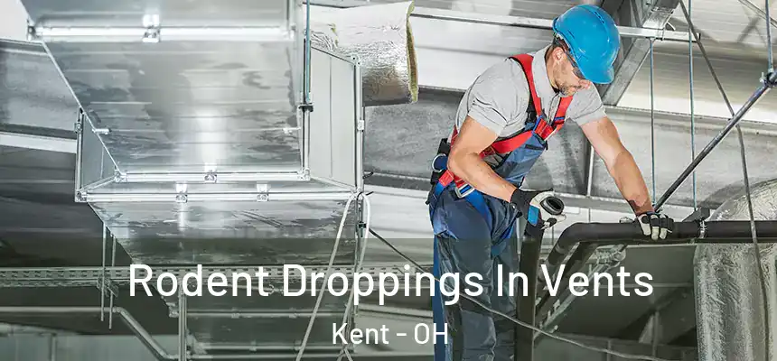  Rodent Droppings In Vents Kent - OH