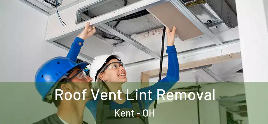  Roof Vent Lint Removal Kent - OH