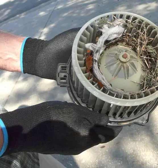 About Air Duct Mice Removal in Kent, OH