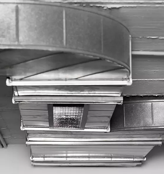 Professional Air Duct Pest Removal in Kent, OH