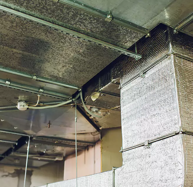 Why Homeowners & Businesses Trust Us in Kent, OH?